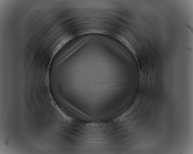 X0000092290898200710051159