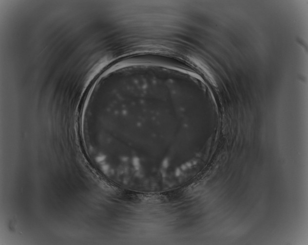 X0000092290899200710051159