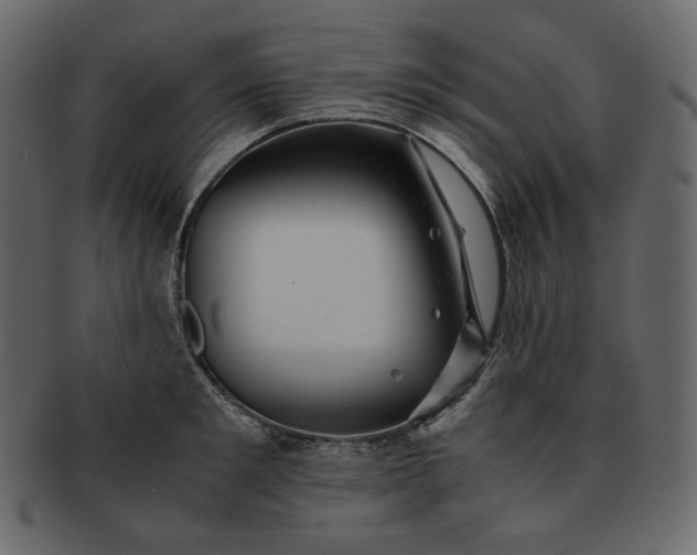 X0000092290901200710051159