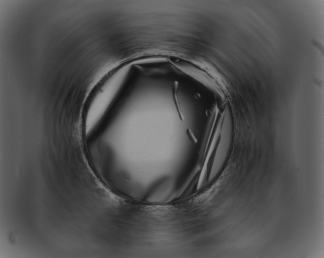 X0000092290902200710051159