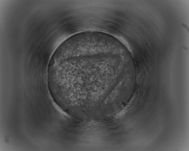 X0000092290903200710051159