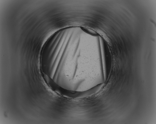 X0000092290904200710051159