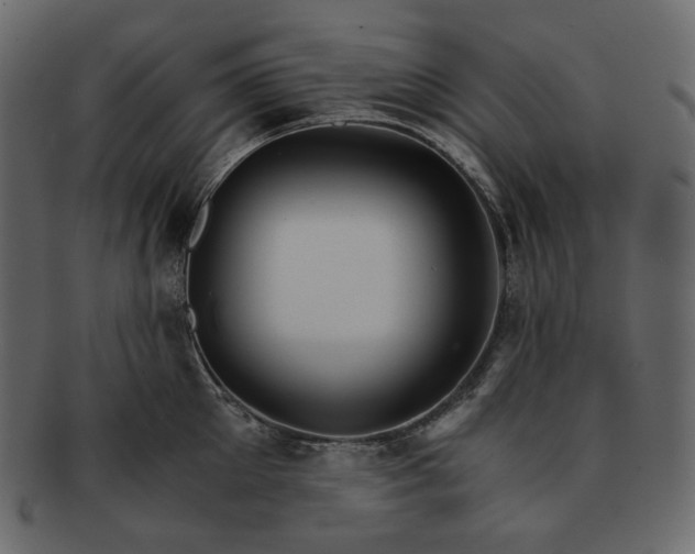 X0000092290905200710051159