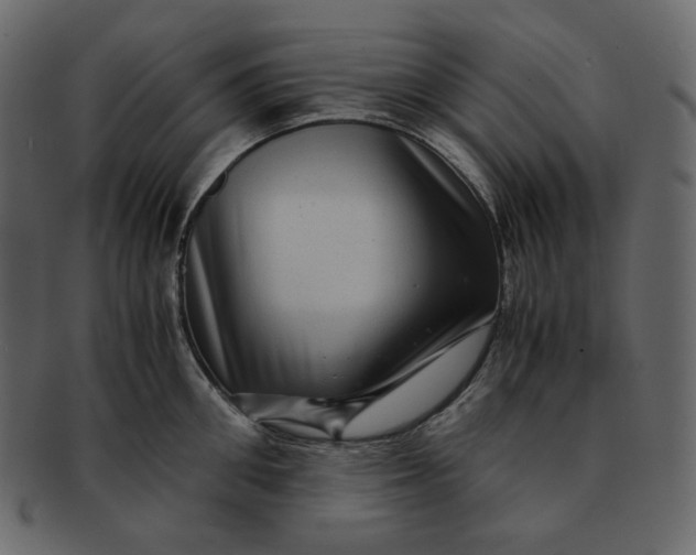 X0000092290906200710051159