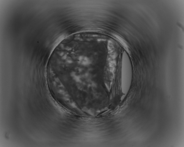 X0000092290907200710051159