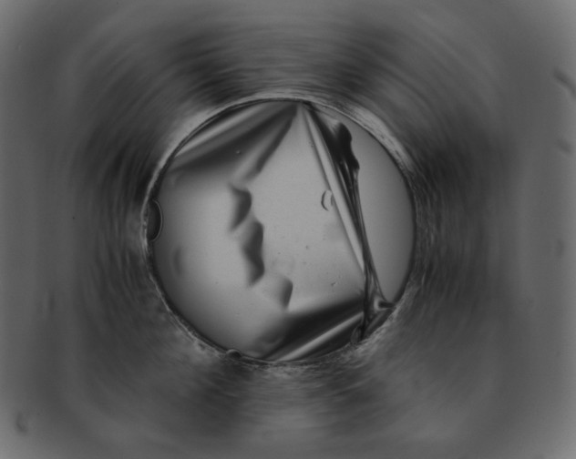 X0000092290908200710051159