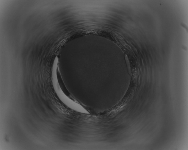 X0000092290916200710051159