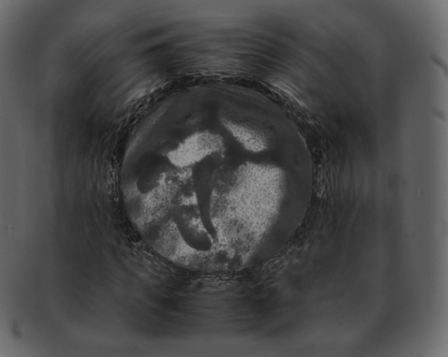 X0000092290917200710051159