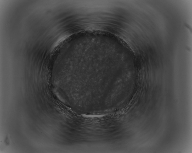 X0000092290919200710051159