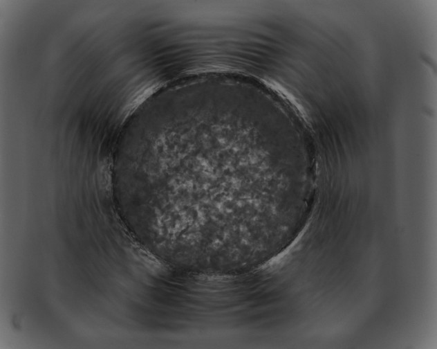 X0000092290921200710051159