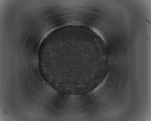 X0000092290923200710051159