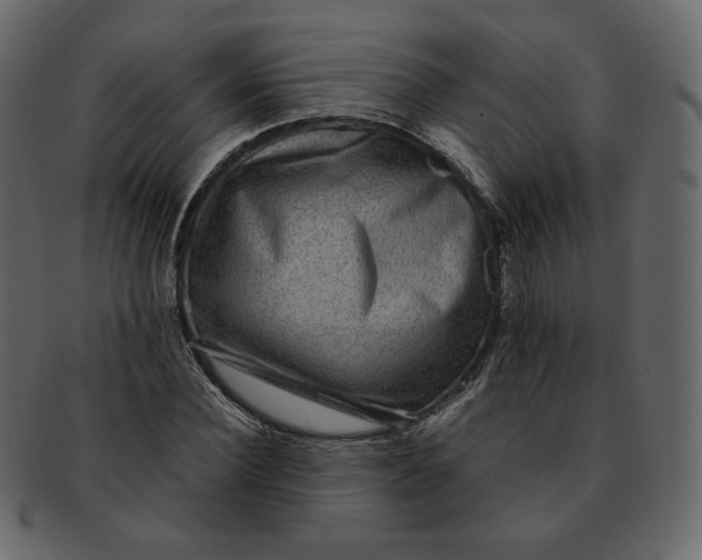 X0000092290924200710051159