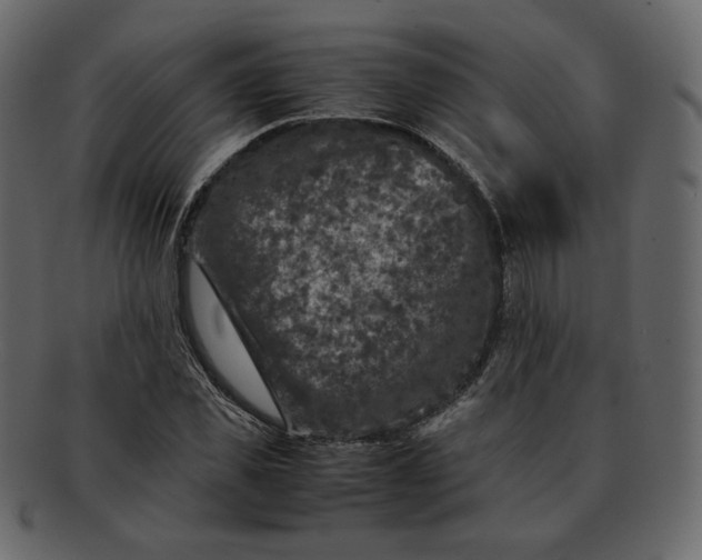 X0000092290925200710051159