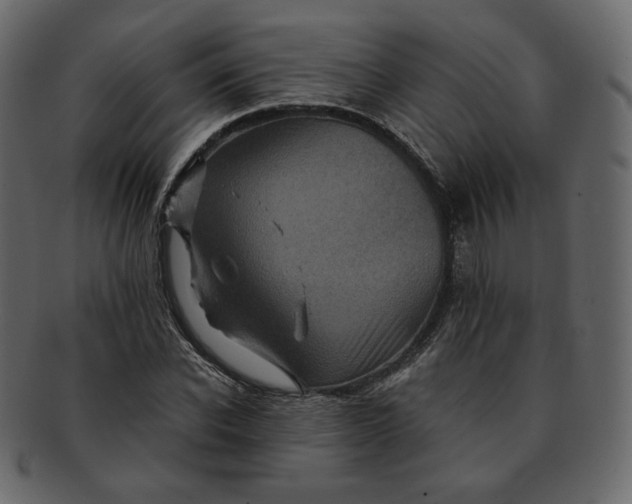 X0000092290926200710051159