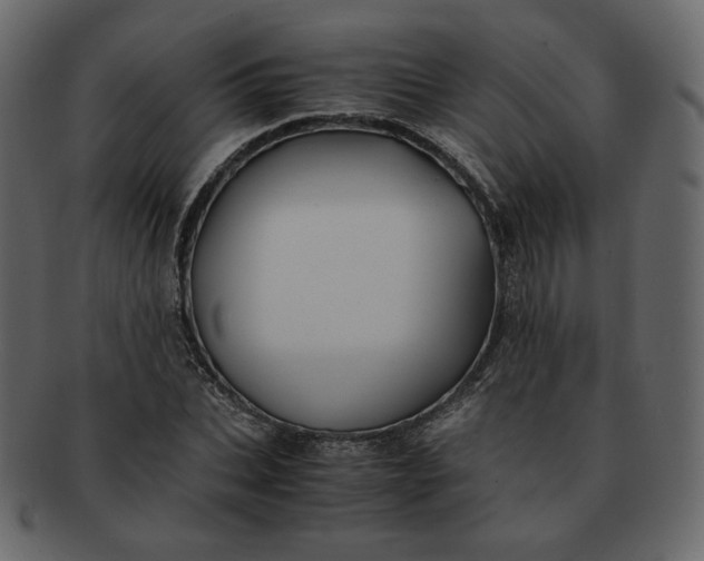 X0000092290927200710051159