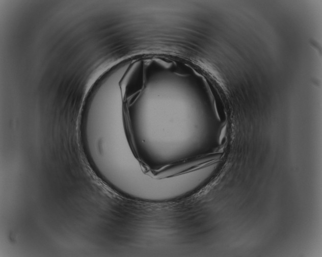 X0000092290928200710051159