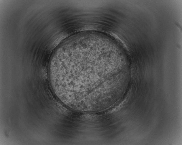 X0000092290929200710051159