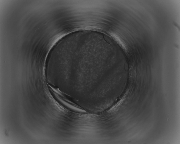 X0000092290932200710051159