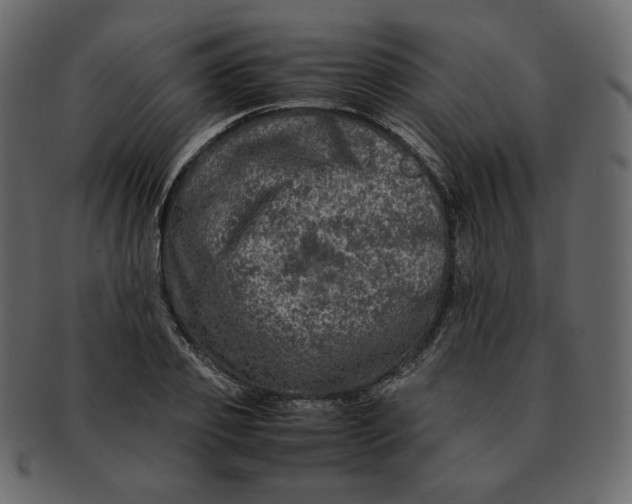 X0000092290933200710051159