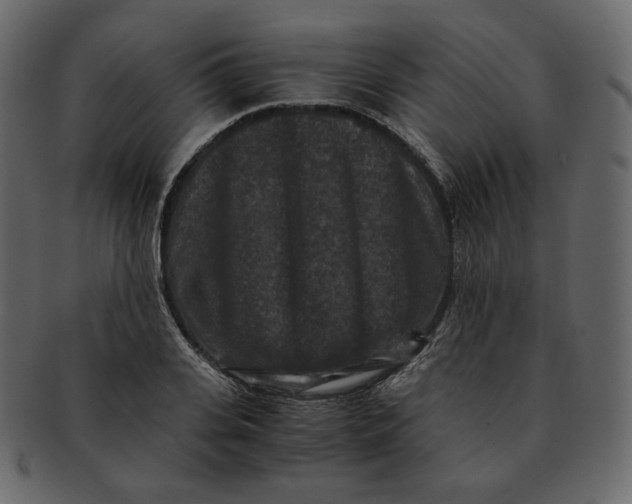 X0000092290935200710051159