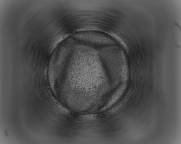 X0000092290937200710051159