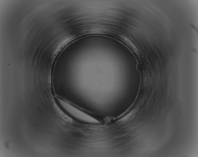 X0000092290938200710051159