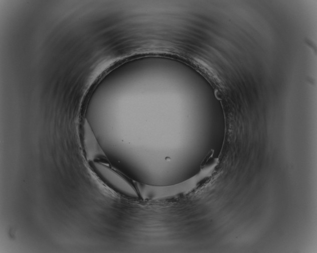 X0000092290942200710051159