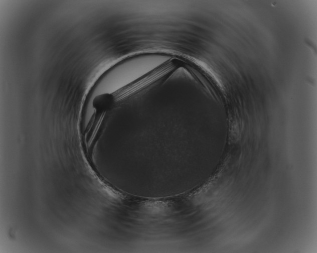 X0000092290943200710051159