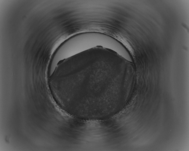 X0000092290944200710051159