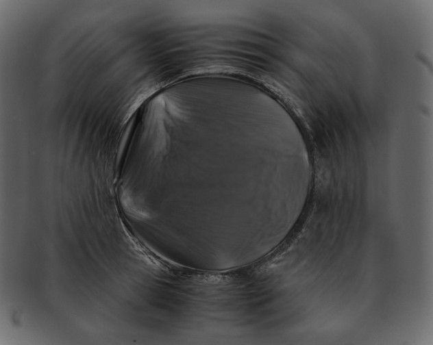 X0000092290945200710051159