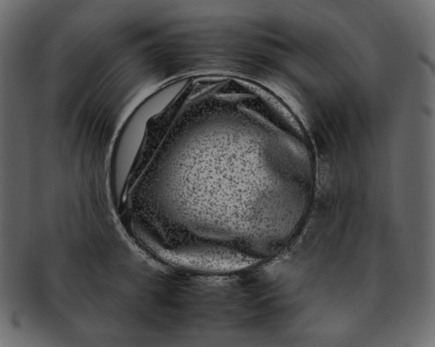 X0000092290949200710051159