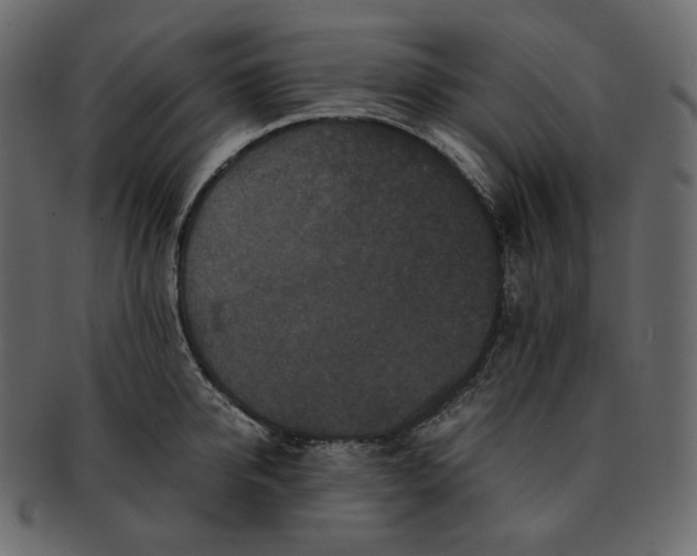 X0000092290950200710051159