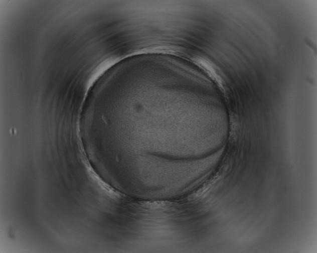 X0000092290952200710051159