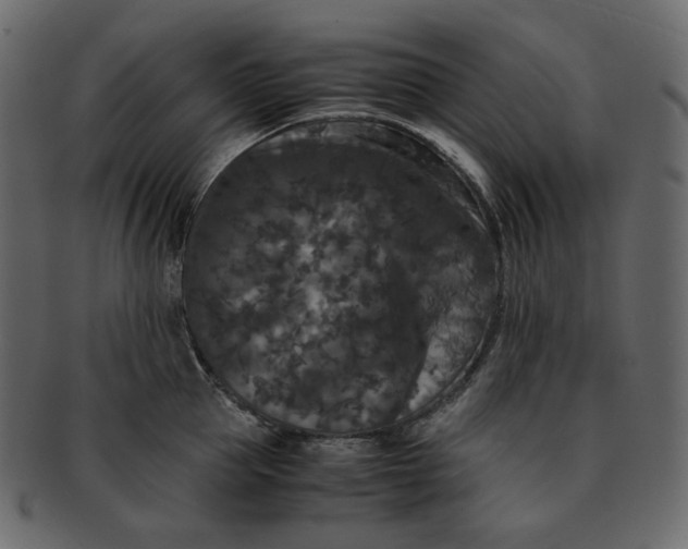 X0000092290953200710051159