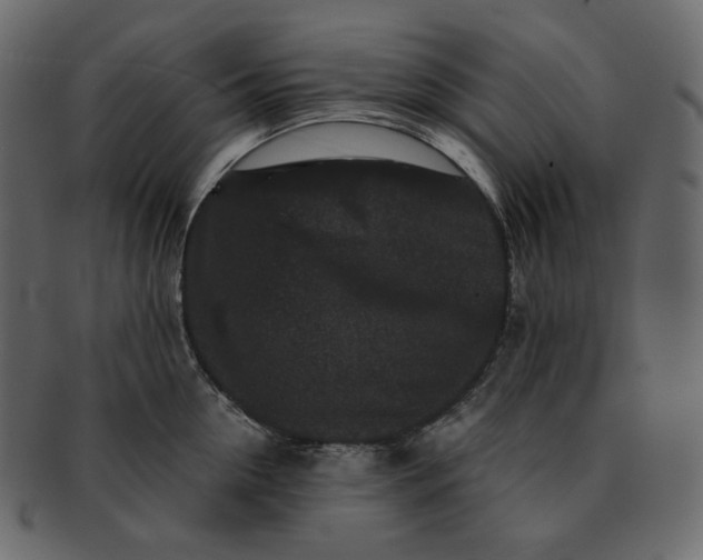 X0000092290954200710051159