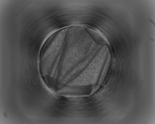 X0000092290955200710051159