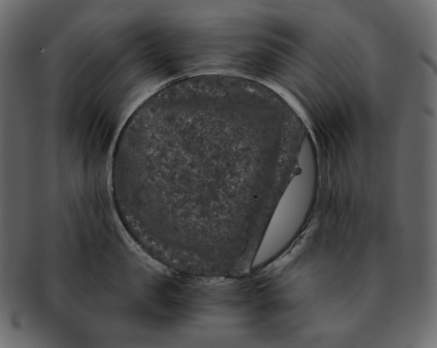 X0000092290957200710051159