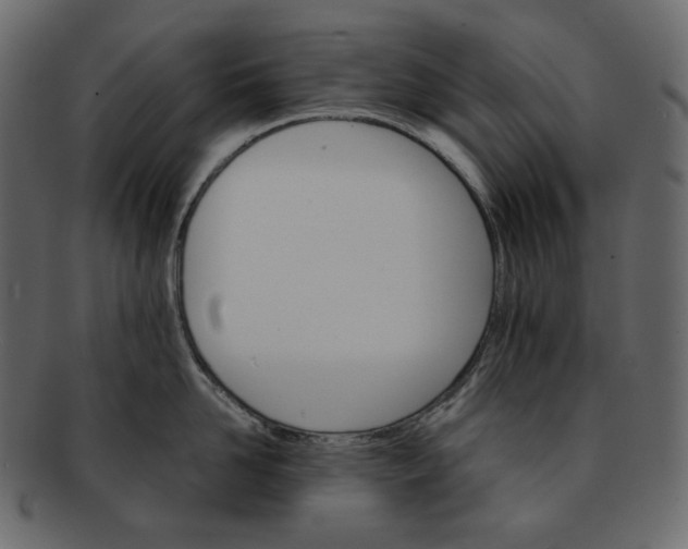 X0000092290958200710051159