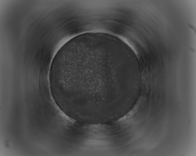 X0000092290959200710051159