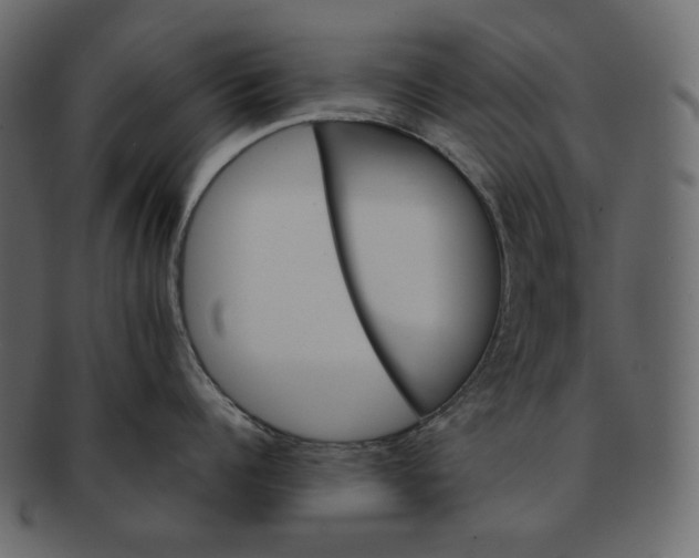 X0000092290960200710051159