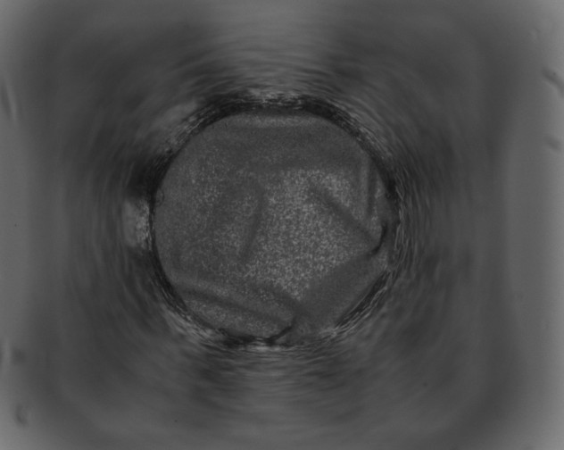 X0000092290963200710051159