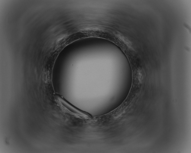 X0000092290965200710051159