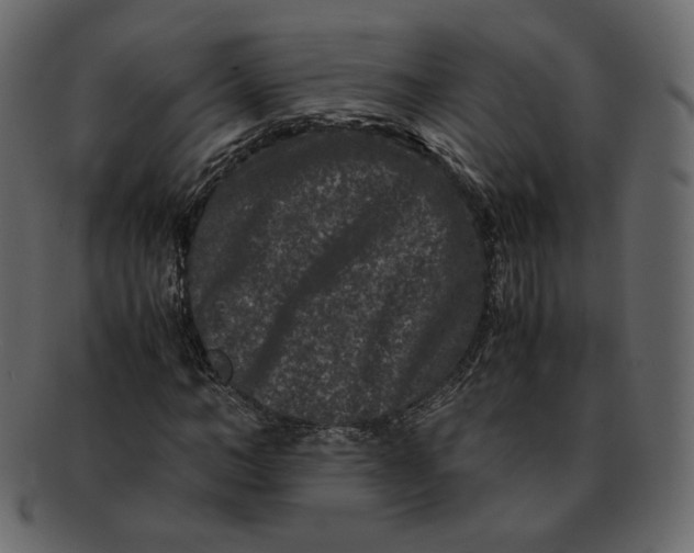 X0000092290966200710051159