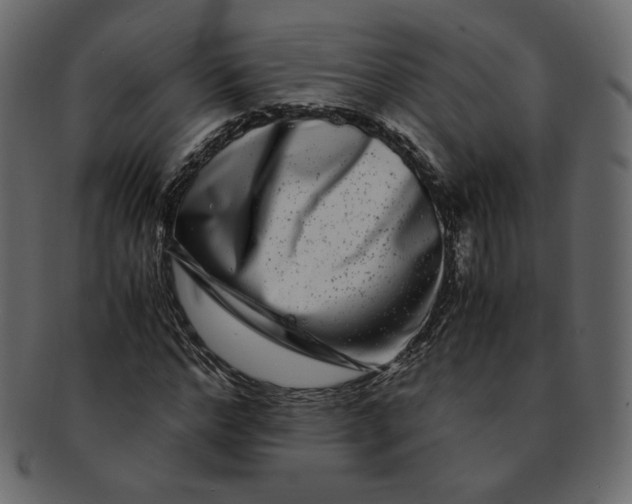 X0000092290968200710051159