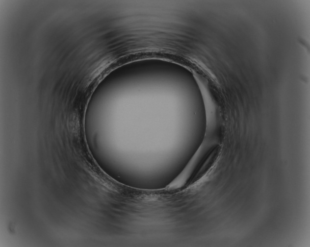 X0000092290969200710051159