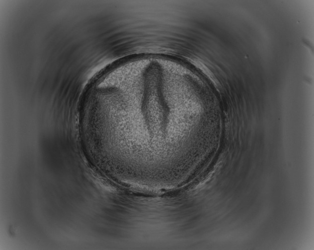 X0000092290971200710051159