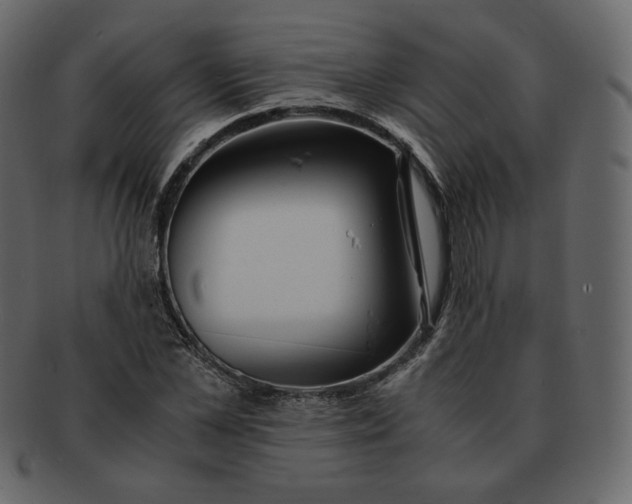 X0000092290973200710051159