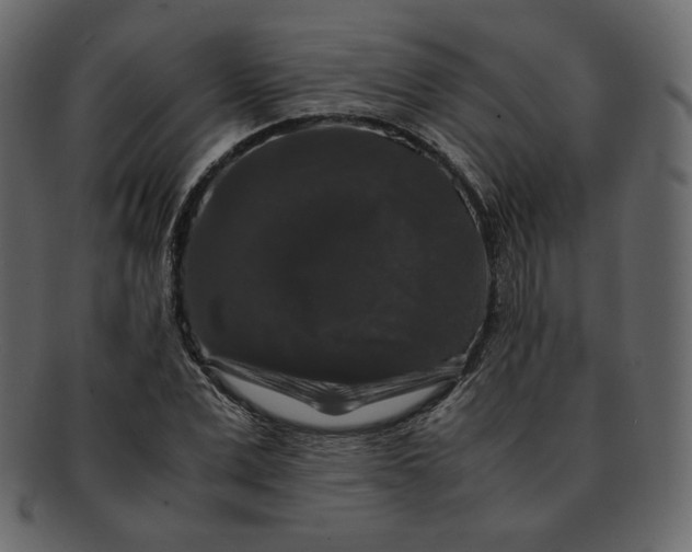 X0000092290975200710051159