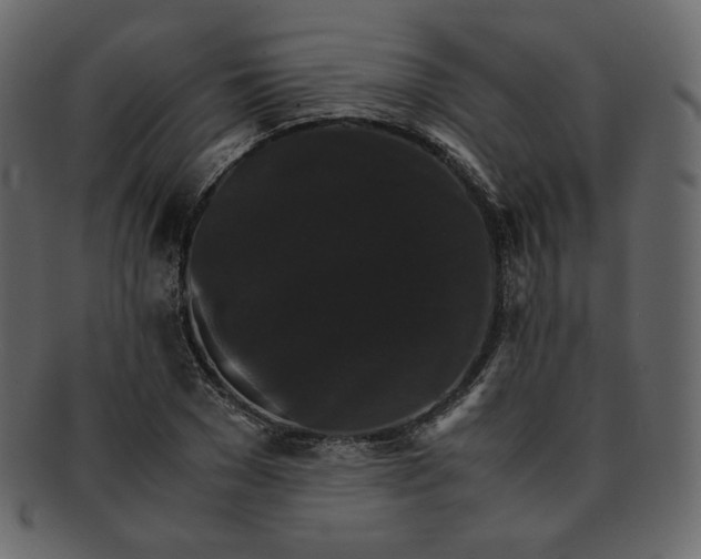 X0000092290977200710051159