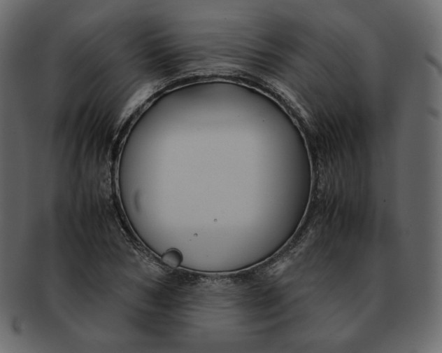 X0000092290978200710051159